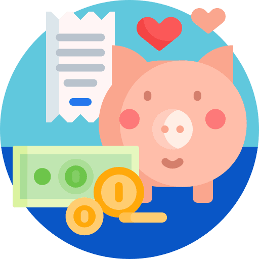 Budget money bill banknote icon