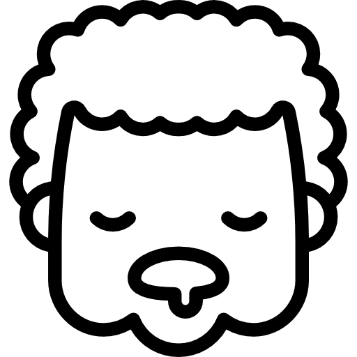 Sleeping granny expression sleep face icon