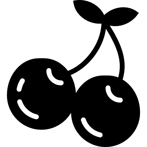 Cherries diet fruit vegan icon