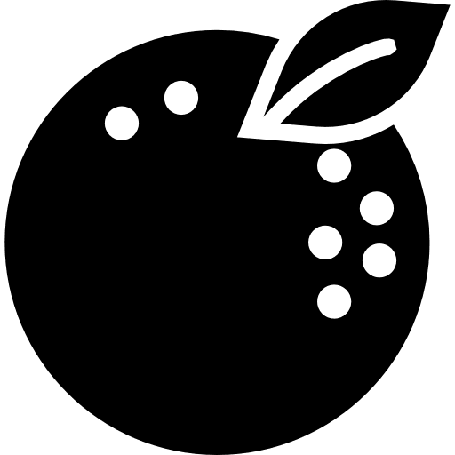 Orange healthy food diet vegan icon