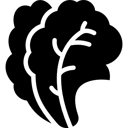 Salad vegetables vegetable cabbages icon