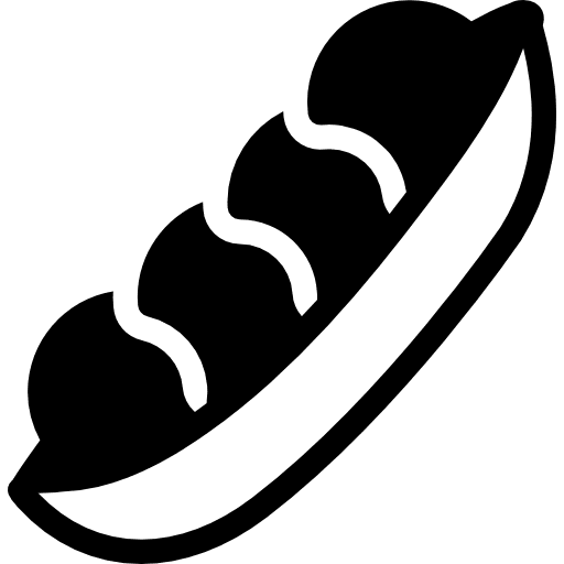 Beans organic beans food icon