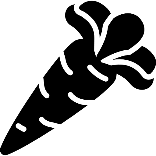 Carrot vegetable healthy food diet icon