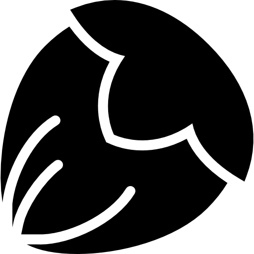 Hazelnut food nuts seeds icon