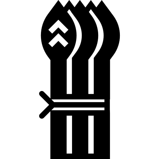 Asparagus vegetarian vegan cooking icon