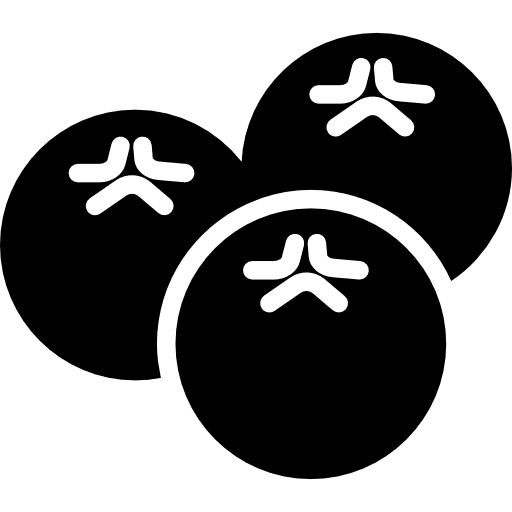 Blueberries blueberries fruit food icon