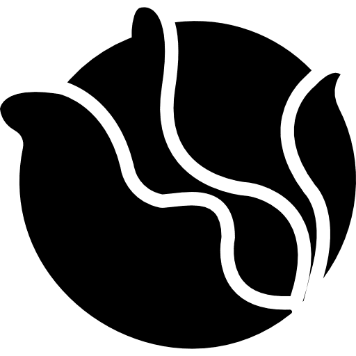 Cabbage cabbage vegetarian diet icon