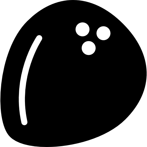Coconut coconut fruit food icon