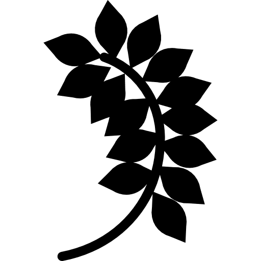 Oat organic cereal oat icon