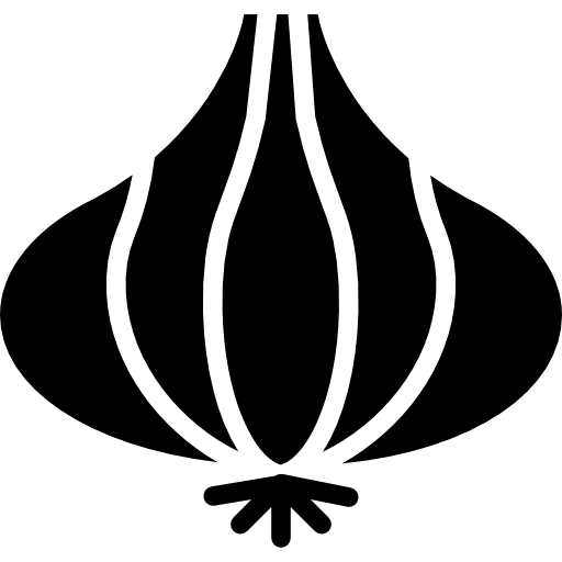 Onion onions food onion icon