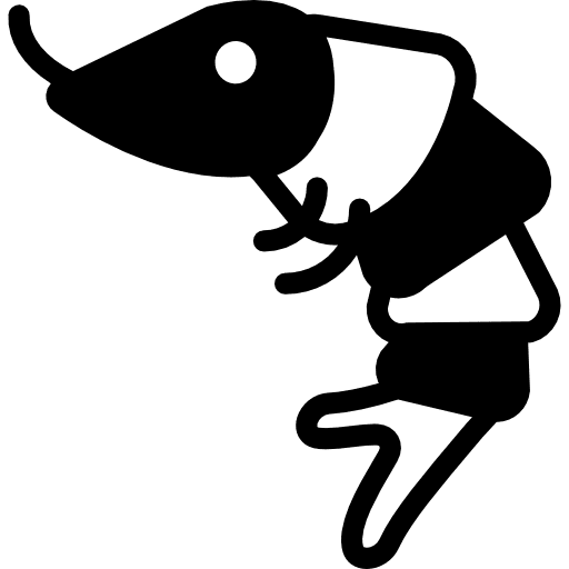 Shrimp food seafood sea life icon