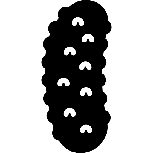 Cucumber fruit diet vegetarian icon