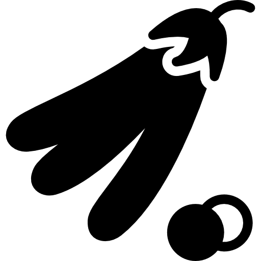 Peas vegan organic legume icon