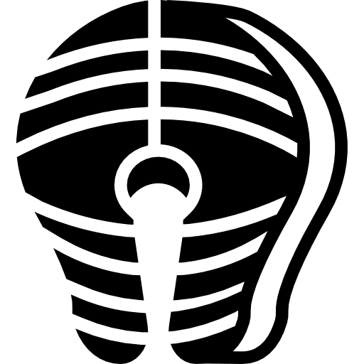 Salmon healthy food fish salmon icon