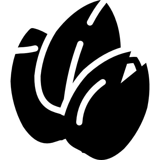 Seeds organic vegetarian sesame icon