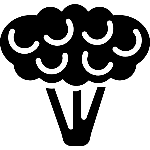 Cauliflower food cauliflower healthy icon