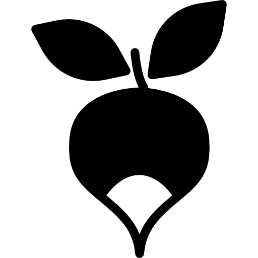 Radish food diet vegan icon