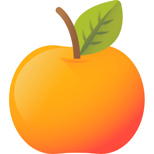 Orange organic fruit food icon