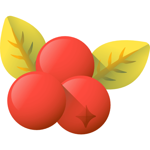 Berries fruits berries berry icon
