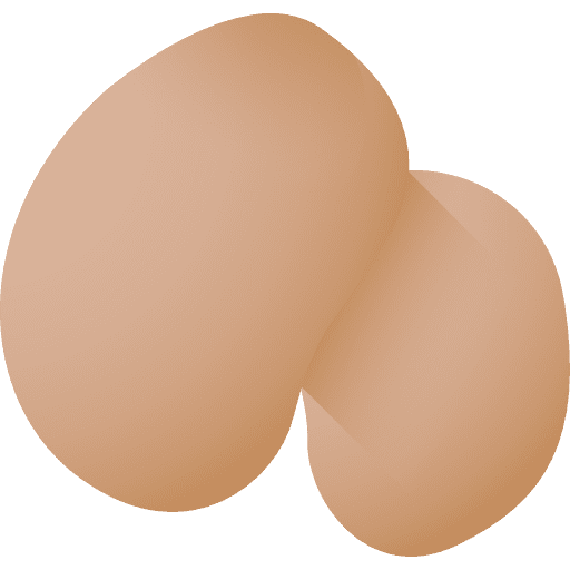 Potato potatoes vegetarian food icon