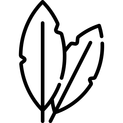 Feather laundry delicate feather icon Feather laundry delicate feather icon