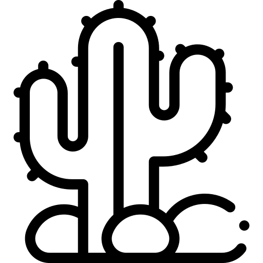 Cactus nature plant stone icon