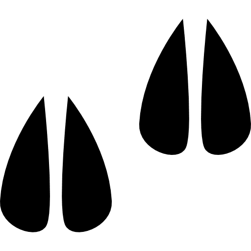 Hoof prints pork animal prints icon