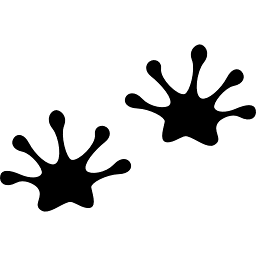 Prints forg lizard prints icon