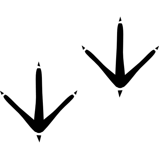 Bird prints animal animals birds icon