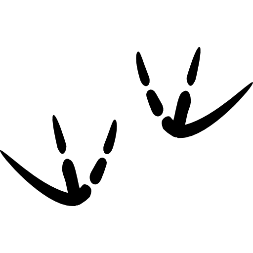 Bird prints animal pawprints animals icon