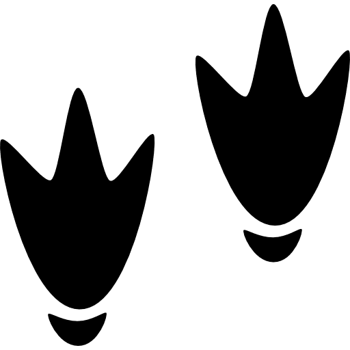 Duck footprints animals feet ducks icon