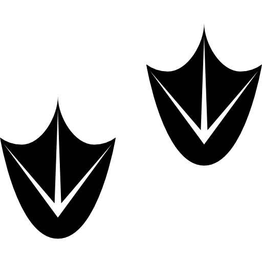 Gooseprints farming wildlife gooses icon