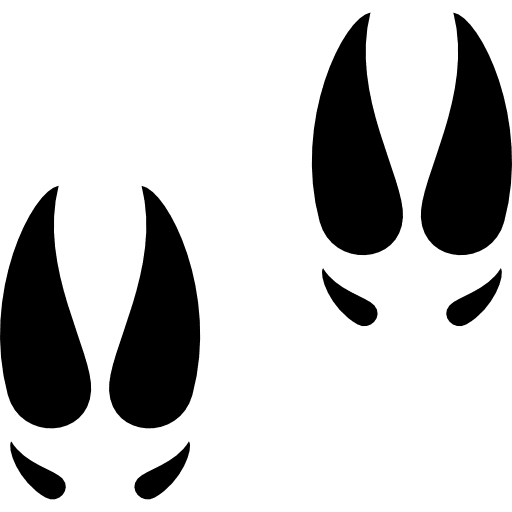 Hoof prints animal farming moose icon