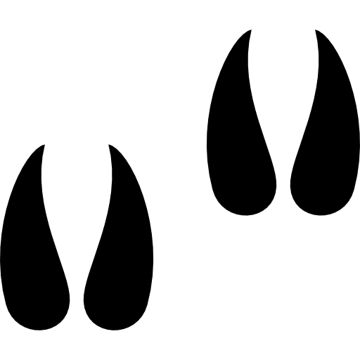 Hoofprints hoofs cow animal icon