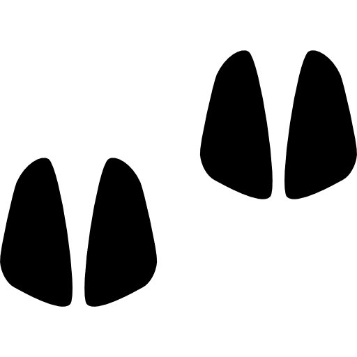 Pig footprints hog pig animals icon