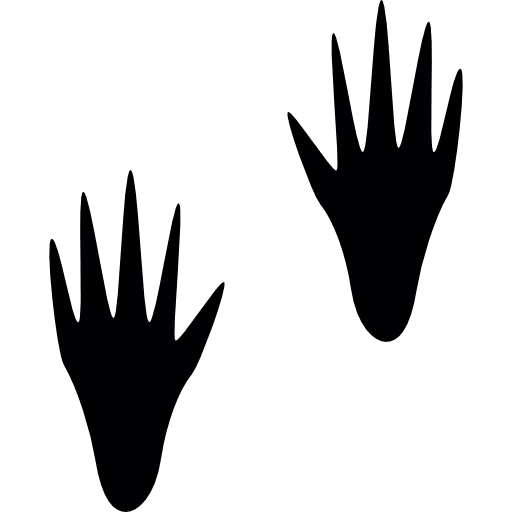 Racoon pawrints prints zoo racoons icon