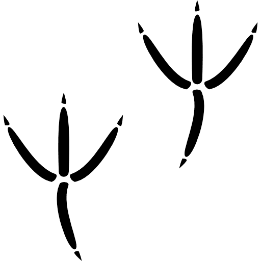 Bird pawprints animals paw birds icon