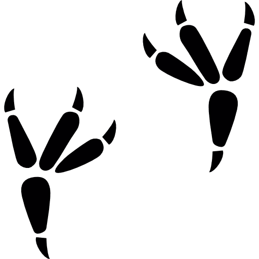 Crow prints bird animals animal icon