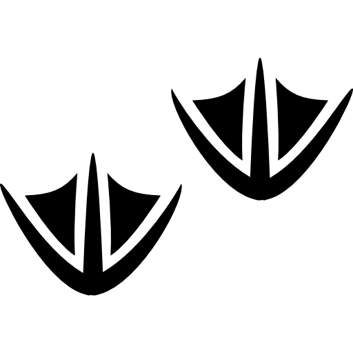 Duck prints animals aquatic footprint icon