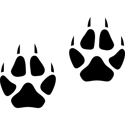 Pawprints animal paw fx icon