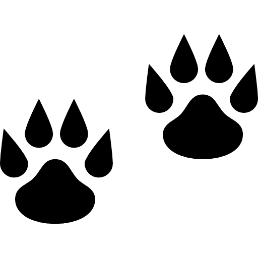 Pawprints paws cat animals icon