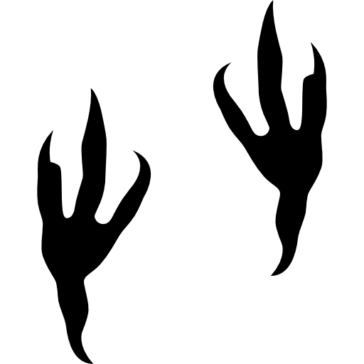 Two bird footprints birds bird prints icon