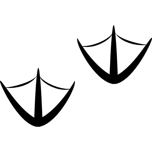 Duck paws animal bird animals icon