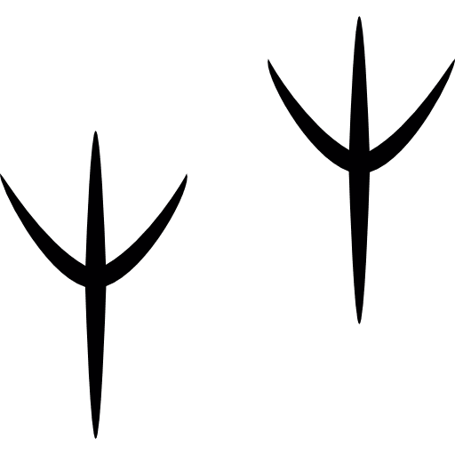 Bird bird animals prints icon