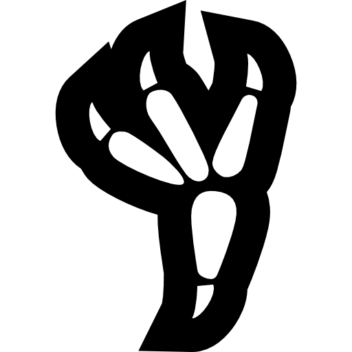 Pawprint animals print eagle icon