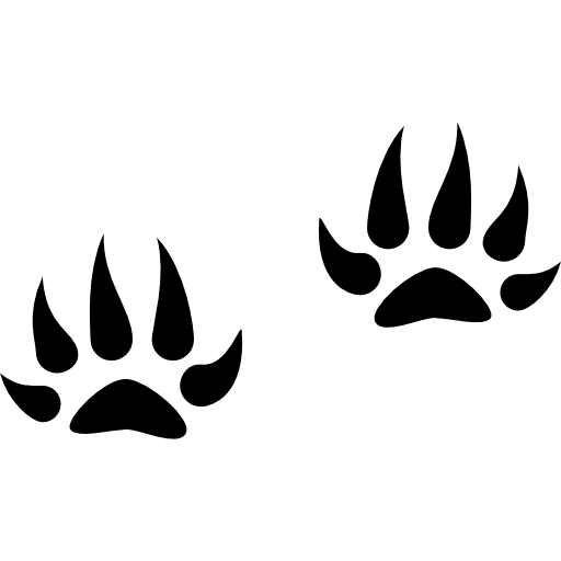 Pawprints feline pawprint animals icon