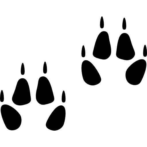 Pawprints prints cat animals icon