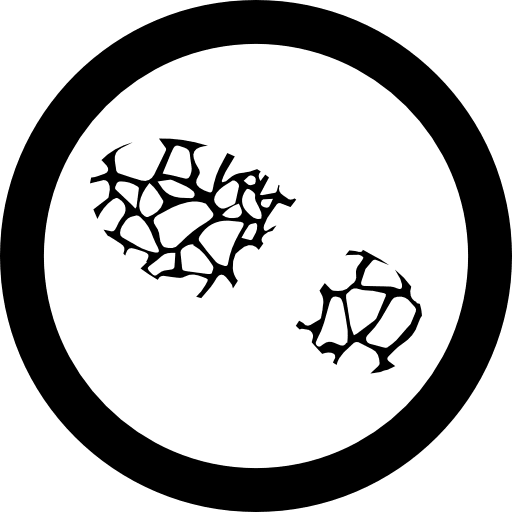 Shoe prints circular shapes detective icon