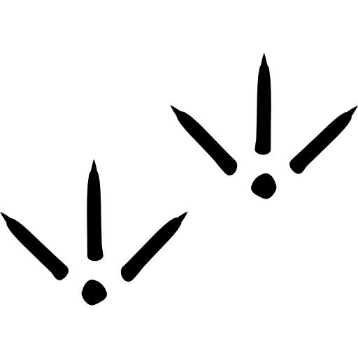 Bird prints animals animal print icon