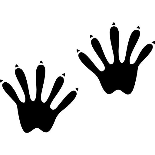 Frog prints frogs shapes animal icon